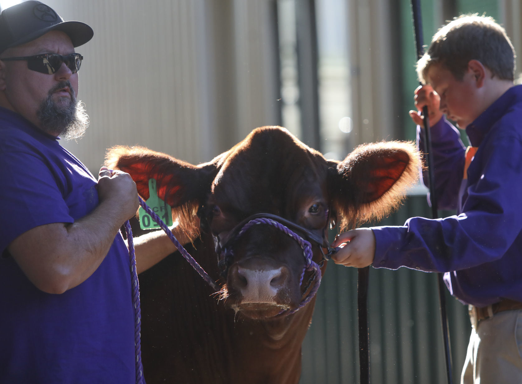 Benton County Fair